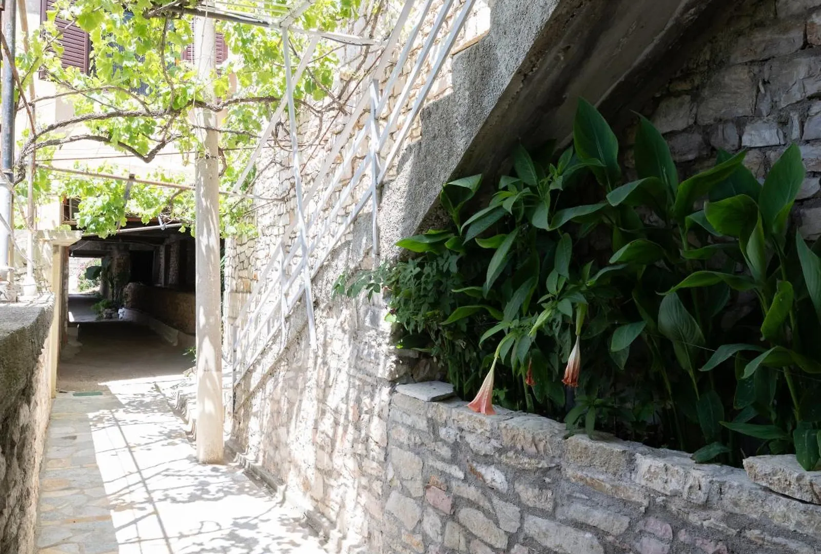 Qeparo Pano Rooms 0*,  Albanien